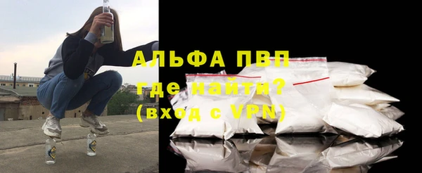 стаф Тында