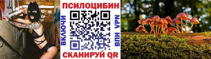 купить  сайты  Пестово  omg ССЫЛКА  Псилоцибиновые грибы Psilocybe 