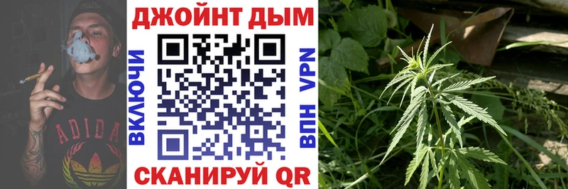 Бошки Шишки конопля  МЕГА   Пестово 